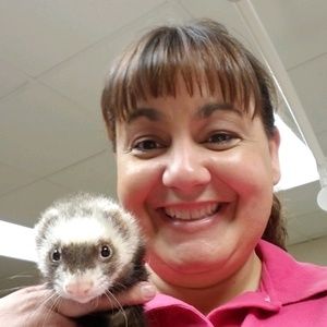 Meet your Posher, Ashley